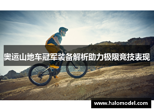 奥运山地车冠军装备解析助力极限竞技表现